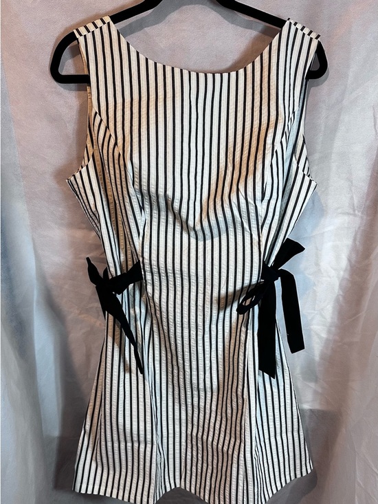 Wild Fable Dresses & Skirts - wild fable Black and White Vertical Stripe Mini Dress with Side Ties